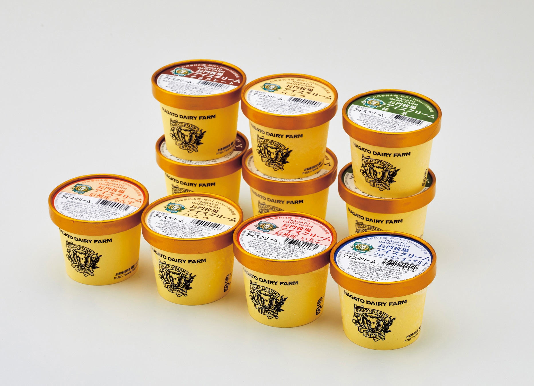 B395 長門牧場 自家製アイスクリーム10個セット