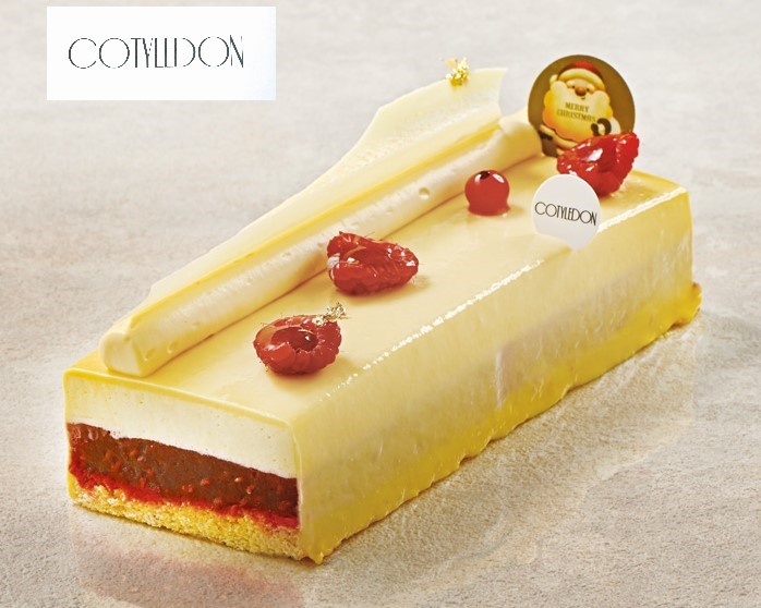 【上池台店】E531 ［コティレドン］ ムース オ フリュイ トロピコ エ フランボワーズ