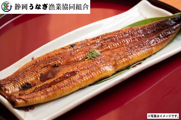 G200 静岡県産 うなぎ蒲焼　2枚