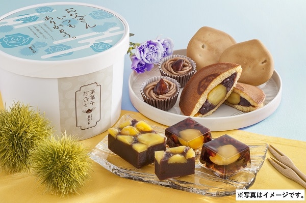 G516 京都 養老軒　栗菓子詰合せ