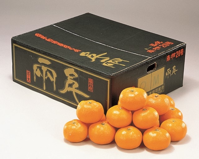 B006　愛媛県産JAにしうわ日の丸千両みかん（11月中旬より順次発送）
