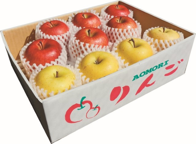 B012　青森県産　環境＆アグリのサンふじ・王林（12月上旬より順次発送）