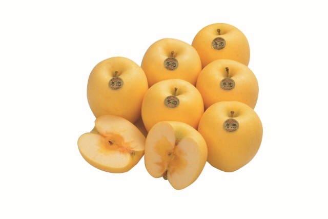 B018　岩手県産冬恋りんご（12月中旬より順次発送）