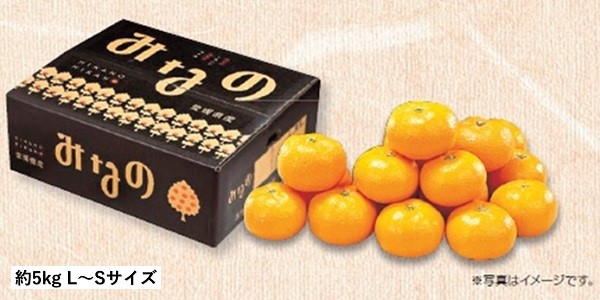B022　愛媛県産JAにしうわ　みなのみかん（11月下旬より順次発送）