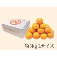 B024　愛媛県産JAにしうわ　西宇和みかん（11月下旬より順次発送）