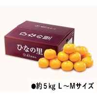 B030　愛媛県産JAにしうわ真穴みかん（ひなの里）（11月中旬より順次発送）