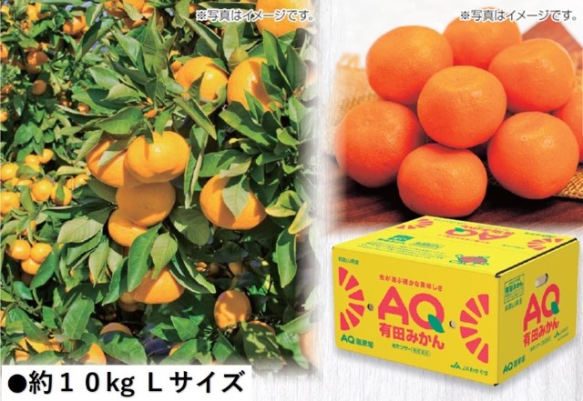 B035　和歌山県産JAわかやま　有田AQみかん（11月下旬より順次発送）