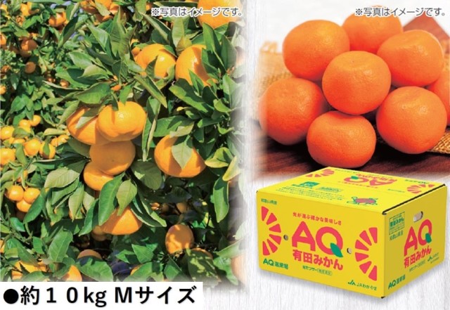 B036　和歌山県産JAわかやま　有田AQみかん（11月下旬より順次発送）