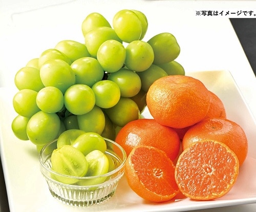 B042　長野県産シャインマスカットと和歌山県産JAわかやま有田AQみかん（11月下旬より順次発送）
