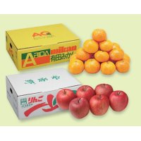 B044　和歌山県産JAわかやま有田みかんと長野県産JAあづみサンふじ（11月下旬より順次発送）