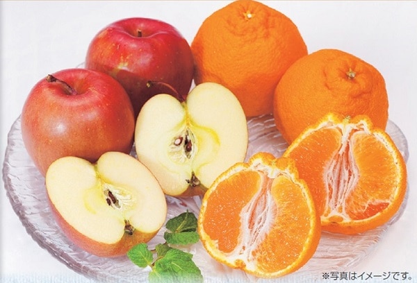 B048　佐賀県産デコポンと長野県産JAあづみサンふじ（12月中旬より順次発送）