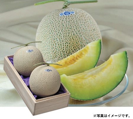 B058　静岡県産クラウンマスクメロン（11月下旬より順次発送）
