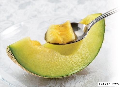 B059　熊本県産　アールスメロン（11月下旬より順次発送）