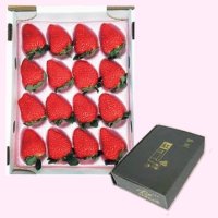 B061　静岡県産　紅ほっぺ（12月上旬より順次発送）