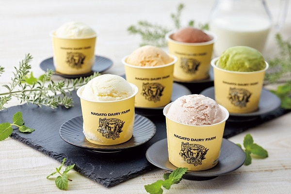 B395 長門牧場 自家製アイスクリーム10個セット