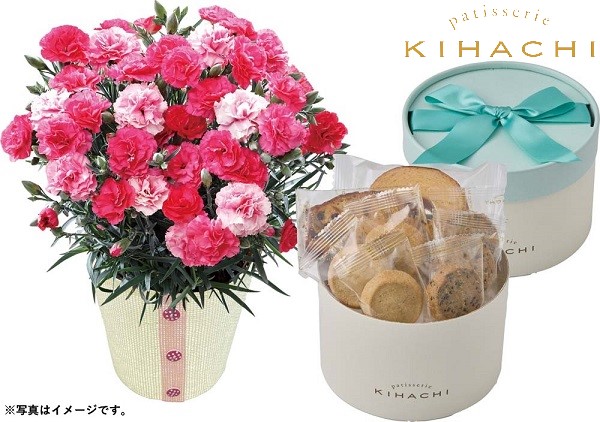H003 カーネーション（さくらもなか）と「パティスリー キハチ」アソートＢＯＸ