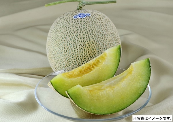 H004 静岡県産 クラウンマスクメロン