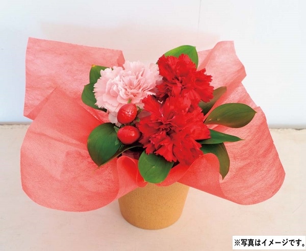 H009 アレンジメント（イチゴミルク）