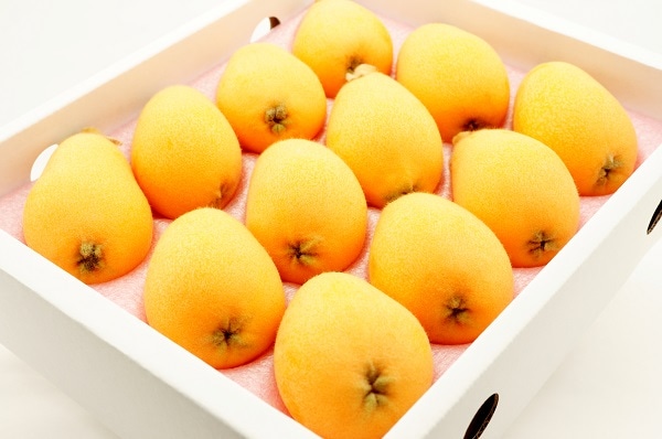 H011 長崎県産 びわ