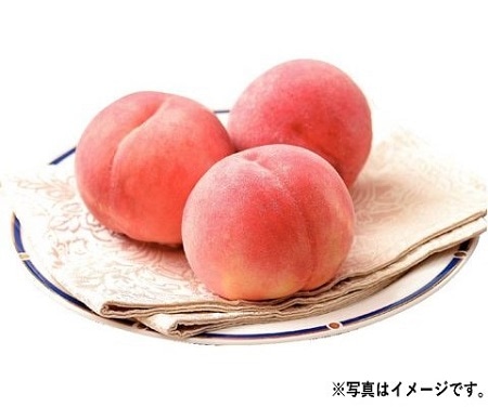 H013 山梨県産 ハウスもも