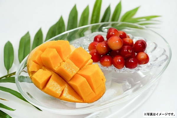 H015 宮崎県産 マンゴ＆山形県産 さくらんぼ