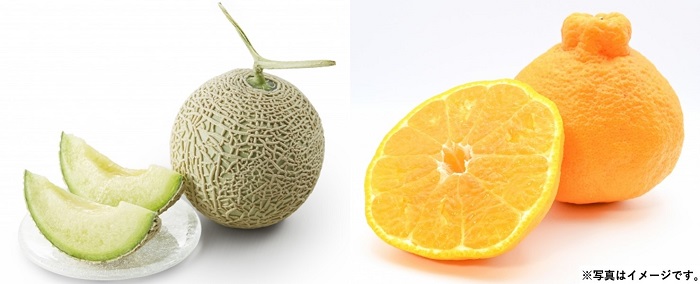 H026 アールスメロン＆デコポン