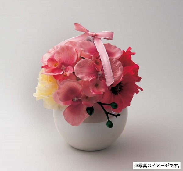 H049 フレグランス胡蝶蘭(ピンク)