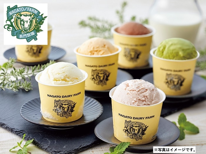 B310 自家製アイスクリーム10個セット