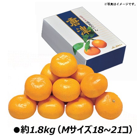 B005 佐賀県産JAからつ ハウスみかん 【６月下旬より順次発送】