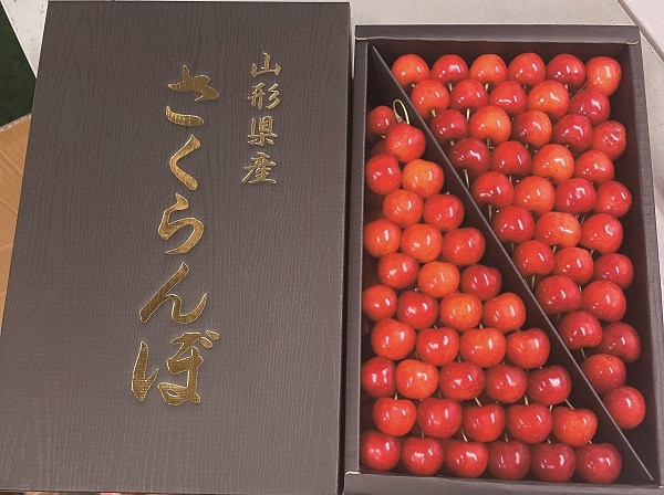 B028 山形県産 佐藤錦 極撰 手詰め品 【６月中旬より順次発送】