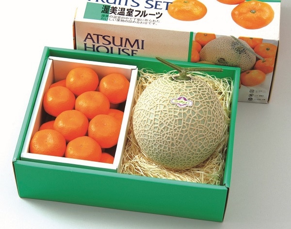 B039 愛知県産 渥美　メロンと温室みかん 【7月上旬より順次発送】