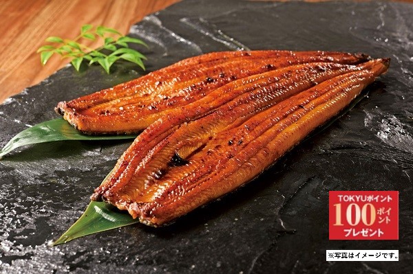 【たちばな台店】<土用丑の日>I231 愛知県産　うなぎ長蒲焼　大