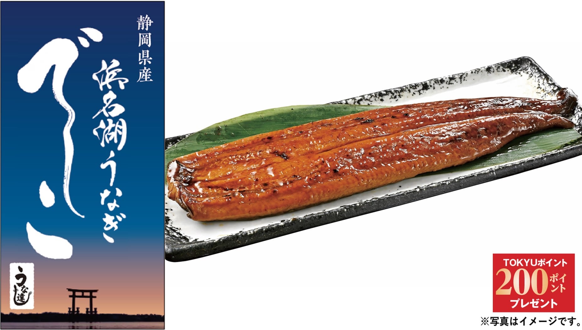 【東長崎】<土用丑の日>I232 静岡県産 浜名湖うなぎ蒲焼（でしこ）