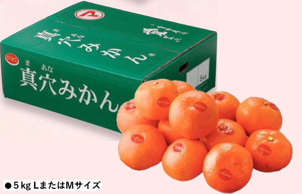 B002 愛媛県産JAにしうわ　真穴みかん 【１１月中旬より順次発送】