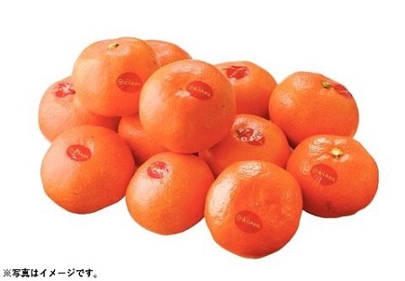 B001　愛媛県産JAにしうわ真穴みかん（11月中旬より順次発送）
