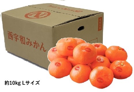 B003　愛媛県産JAにしうわ真穴みかん（11月中旬より順次発送）