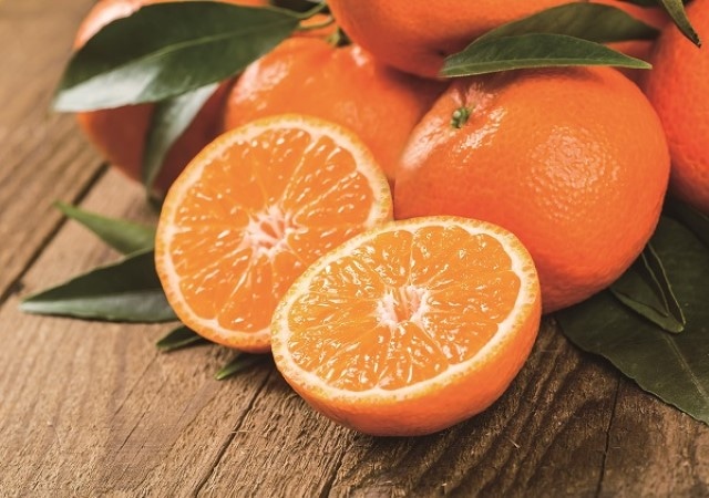 B007　愛媛県産JAにしうわ日の丸ゴールド千両みかん（11月中旬より順次発送）