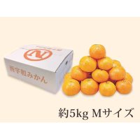 B025　愛媛県産JAにしうわ　西宇和みかん（11月下旬より順次発送）