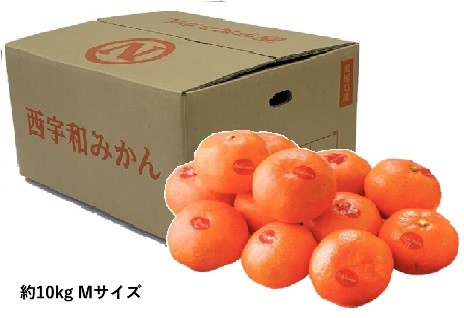 B027　愛媛県産JAにしうわ　西宇和みかん（11月下旬より順次発送）