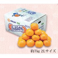 B031　静岡県産JAみっかび　青島みかん（12月下旬より順次発送）