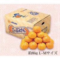 B032　静岡県産JAみっかび　早生みかん（11月下旬より順次発送）