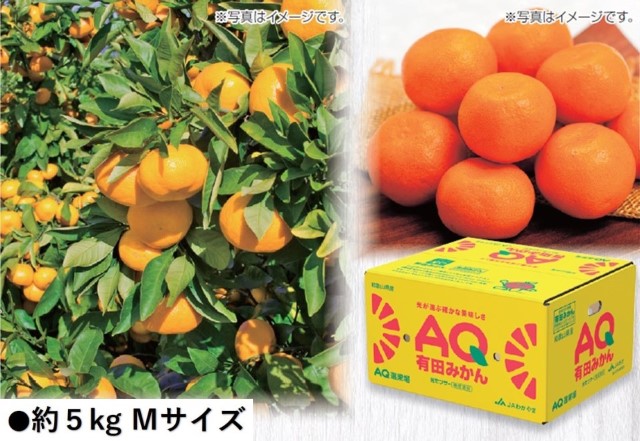 B034　和歌山県産JAわかやま　有田AQみかん（11月下旬より順次発送）