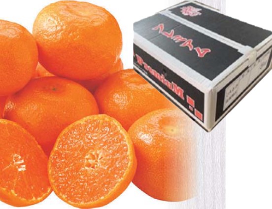 B037　佐賀県産JAさが　プレミアムみかん（11月下旬より順次発送）