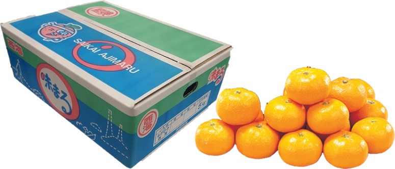 B038　長崎県産JAながさき西海　味まるみかん（12月上旬より順次発送）