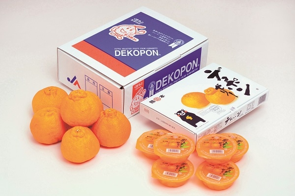 B040　熊本県産デコポンとデコポンゼリー（12月中旬より順次発送）