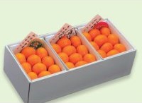 B045　みかん味くらべ（3種）（12月上旬より順次発送）