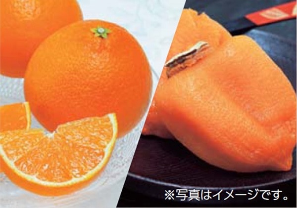 B047　愛媛県産紅まどんなと 福島県産JAふくしま未来あんぽ柿（12月中旬より順次発送）