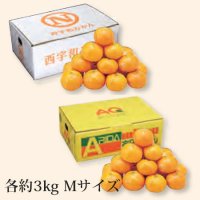 B050　みかん味くらべ（2種）（11月下旬より順次発送）