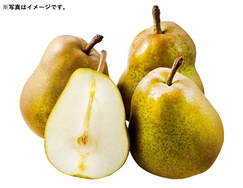 B055　山形県上山市産長沼果樹園のラ・フランス　（11月下旬より順次発送）