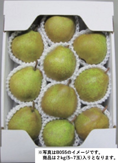 B056　山形県上山市産長沼果樹園のラ・フランス（11月下旬より順次発送）